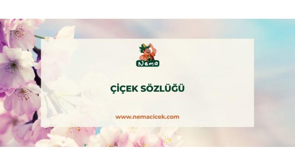 Çiçek Sözlüğü, Çiçek Bakımında Bilinmesi Gereken Terimler