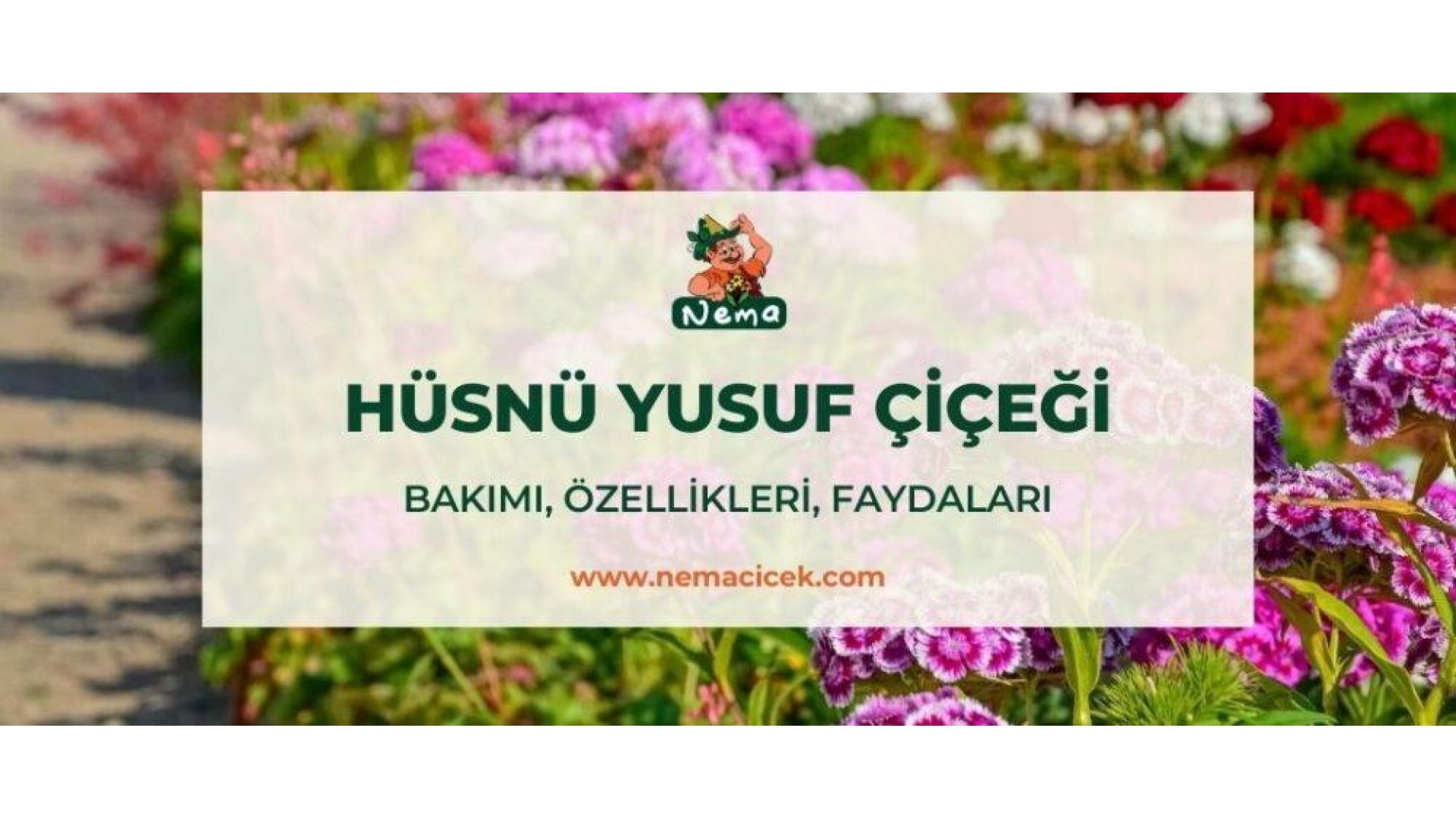 https://nemacicek.com/image/cache/catalog/Blog-Image/husnu-yusuf-nemacicek-blog-1920x1080.jpg