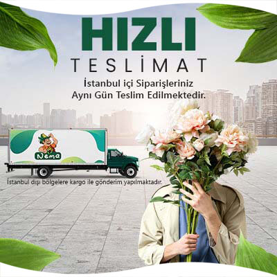 Hızlı Teslimat