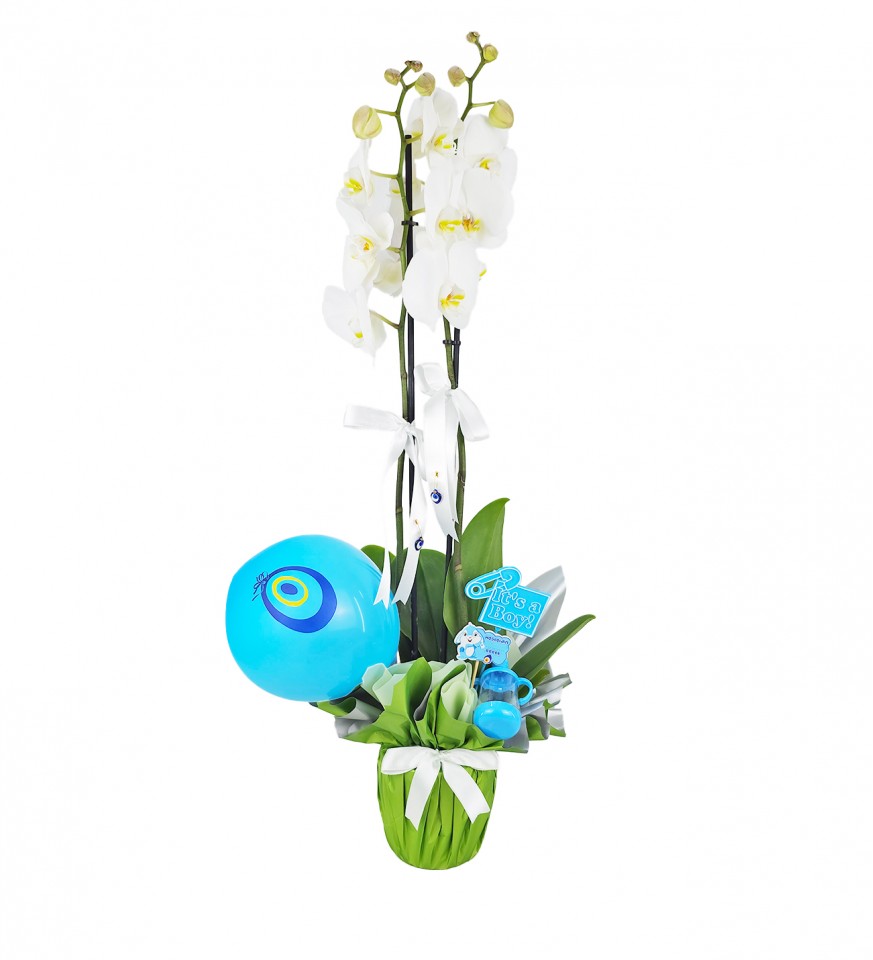 Beyaz Orkide - Hoşgeldin Bebek