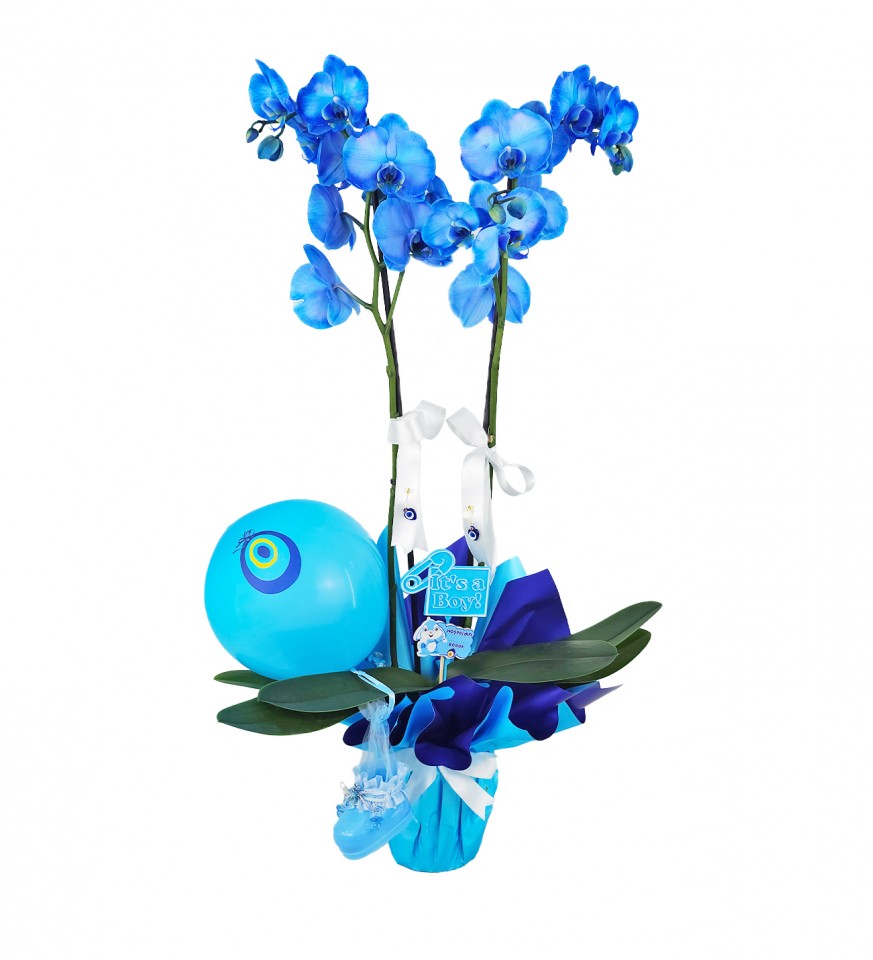 Mavi Orkide - Hoşgeldin Bebek