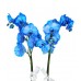 Mavi Orkide - Hoşgeldin Bebek