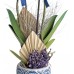 Mavi Orkide - Trigon